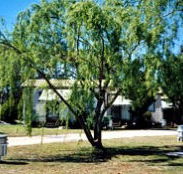 Blue Topaz Caravan Park  Camping Ground - Accommodation in Brisbane