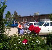 Boerbuck Country Motel  Host Farm - Accommodation in Brisbane