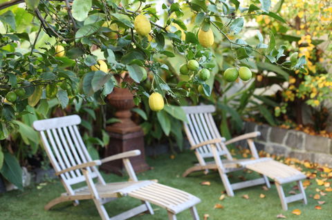 Captains Retreat B&B - Accommodation in Brisbane 1