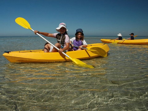 Ceduna Shelly Beach Caravan Park - Accommodation in Brisbane 4