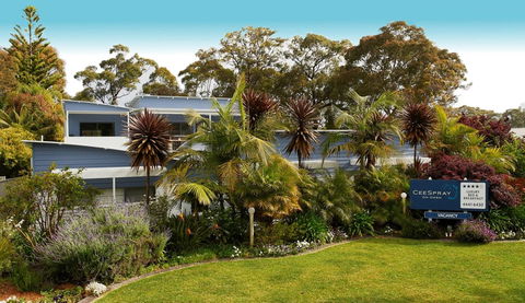 CeeSpray On Owen - Accommodation in Brisbane 8