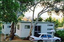 Cooma Snowy Mountains Tourist Park - Accommodation in Brisbane 0