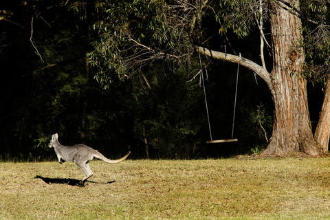 Cottages On Mount View - Accommodation in Brisbane 1