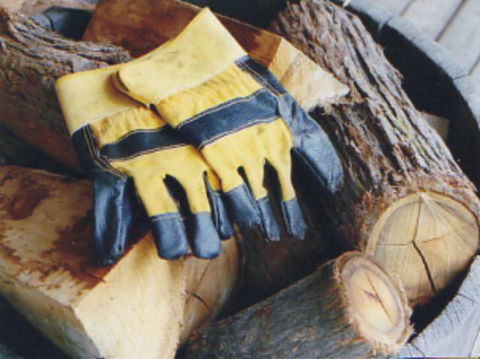 Cottages On Mount View - Accommodation in Brisbane 3