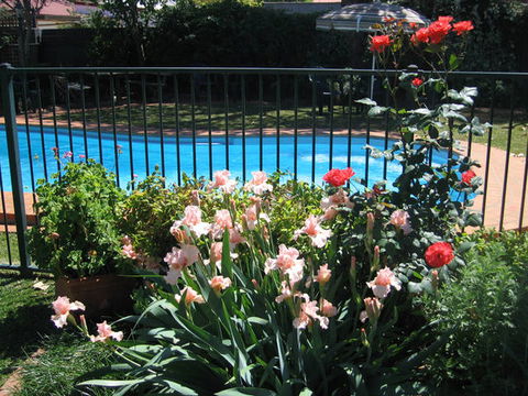 Country Apartments - Accommodation in Brisbane 4