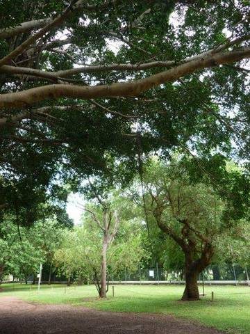 Discovery Holiday Parks - Darwin - Accommodation in Brisbane 10