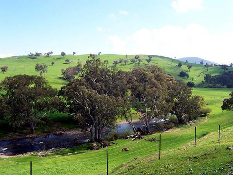 Elm Cottage - Tumut - Accommodation in Brisbane 4