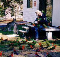 Inland Waters Holiday Parks Burrinjuck - Accommodation in Brisbane