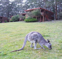 Jenolan Caves Cottages - Accommodation in Brisbane