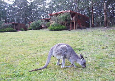 Jenolan Caves Cottages - Accommodation in Brisbane 0