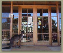 Kangaroo Island Wilderness Retreat - Accommodation in Brisbane 1