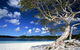 Mercure Kingfisher Bay Resort - thumb 9