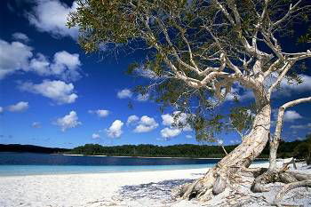 Mercure Kingfisher Bay Resort - Accommodation in Brisbane 9