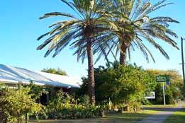 Merino Motor Inn - Accommodation in Brisbane 0