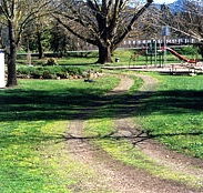 Mongans Bridge Camping Park - Accommodation in Brisbane