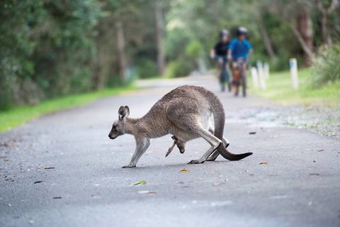 Myall Shores Holiday Park - Accommodation in Brisbane 11