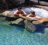 Reef Palms - Accommodation in Brisbane