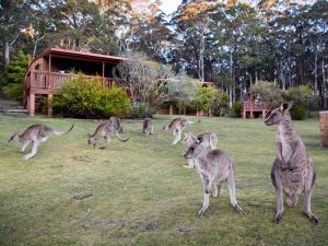 Jenolan Caves Cottages - Accommodation in Brisbane 1