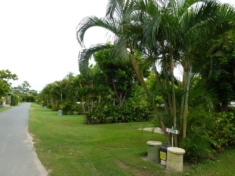 Queens Beach Tourist Village - Accommodation in Brisbane 6