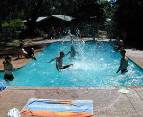 Koala Park - Accommodation in Brisbane 0