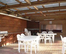 Koala Park - Accommodation in Brisbane 2