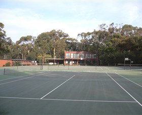 Koala Park - Accommodation in Brisbane 1