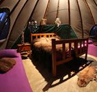 Aranyani Bison Adventure Tourist Park - Accommodation in Brisbane