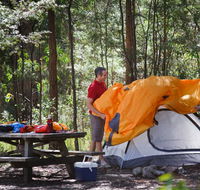 Bald Rock campground and picnic area - Accommodation in Brisbane