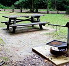 Bellbird campground - Accommodation in Brisbane