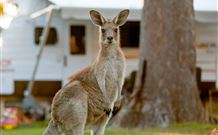BIG4 Sunshine South West Rocks Holiday Park - South - Accommodation in Brisbane 3