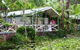 Darlington Beach NRMA Holiday Park - thumb 4