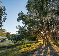 Delicate campground - Accommodation in Brisbane