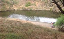 East Gresford Showground - Accommodation in Brisbane 1