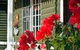 Sonja's Bed & Breakfast - thumb 0