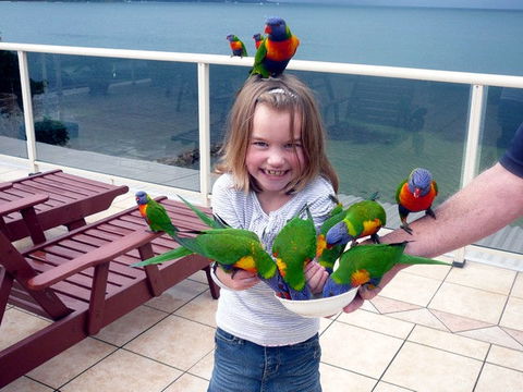 The Mitchells Waterfront Bed & Breakfast - Accommodation in Brisbane 3