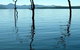 Tinaroo Lake Resort - Holiday Apartments - thumb 11