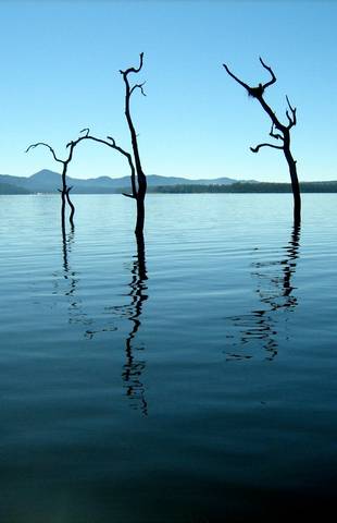 Tinaroo Lake Resort - Holiday Apartments - Accommodation in Brisbane 11