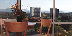 Waldorf Apartment Hotel Canberra - Accommodation in Brisbane 5