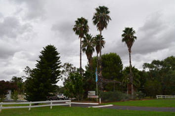 Westview Tourist Caravan Park - Accommodation in Brisbane 8