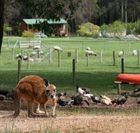 Diamond Forest Cottages and Farm Stay - Accommodation in Brisbane
