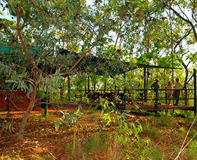 Arnhemland Barramundi Nature Lodge - Accommodation in Brisbane 0