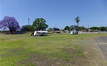 Grafton Showground Caravan Park - Accommodation in Brisbane 0