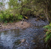 Horse Swamp campground - Accommodation in Brisbane