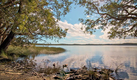 Johnsons Beach Campground - Accommodation in Brisbane 1