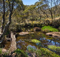 Junction Pools campground - Accommodation in Brisbane