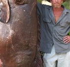 Michael's Clarence Valley Retreat - Accommodation in Brisbane