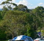 Milton Valley Holiday Park - Accommodation in Brisbane
