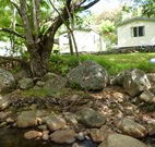 Mt Warning Rainforest Park - Accommodation in Brisbane