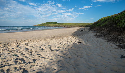 Racecourse Campground - Accommodation in Brisbane 2