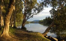 South West Rocks Tourist Park - South - Accommodation in Brisbane 0